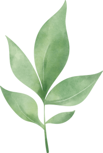 Rustic Watercolor Lemon Leaf